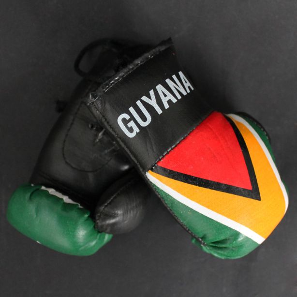 Mini Boxing Gloves - Guyana