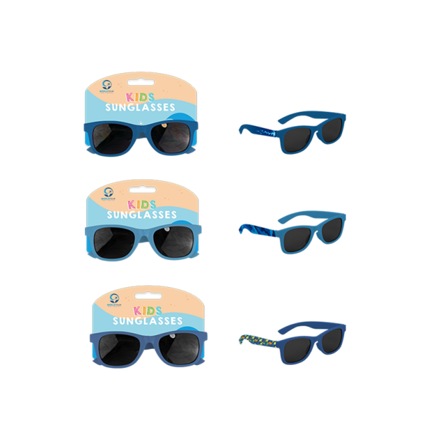 Boys Assorted Sunglasses
