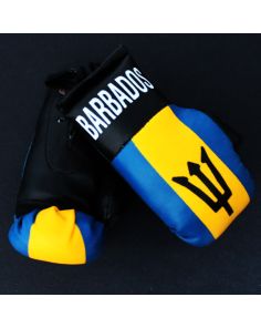 Mini Boxing Gloves - Barbados