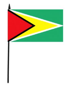 Guyana Hand  Flag - 12" x 18"