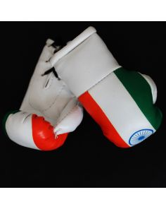 Mini Boxing Gloves - India