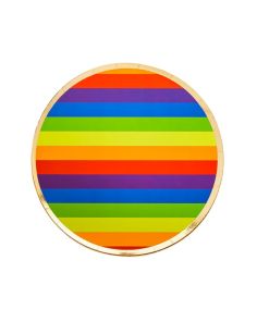 Rainbow Paper Plates 8 Pack